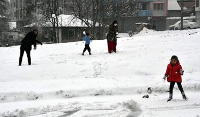 Van'da okullar tatil edildi